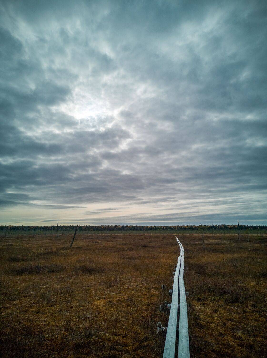 Болотная тропа