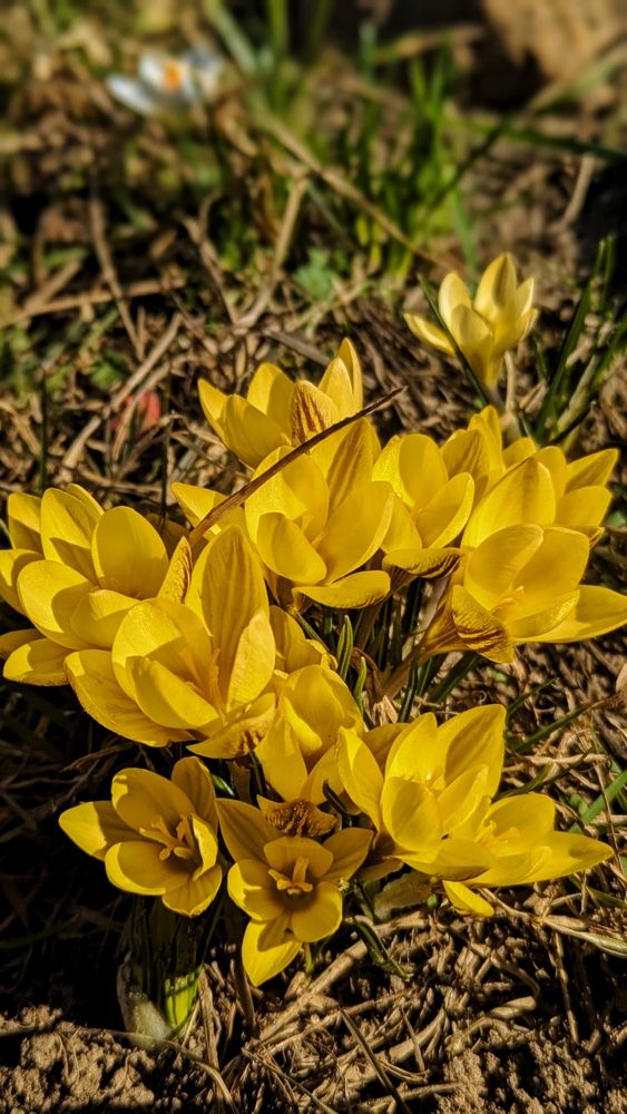 Photograph by Ольга и Андрей Трухан