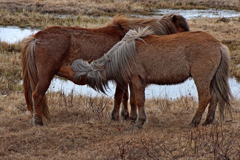 Photograph by Александр Велигура