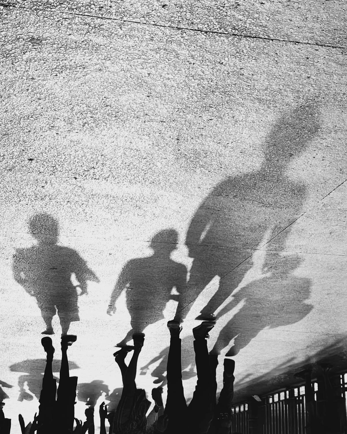 Photo #13483366