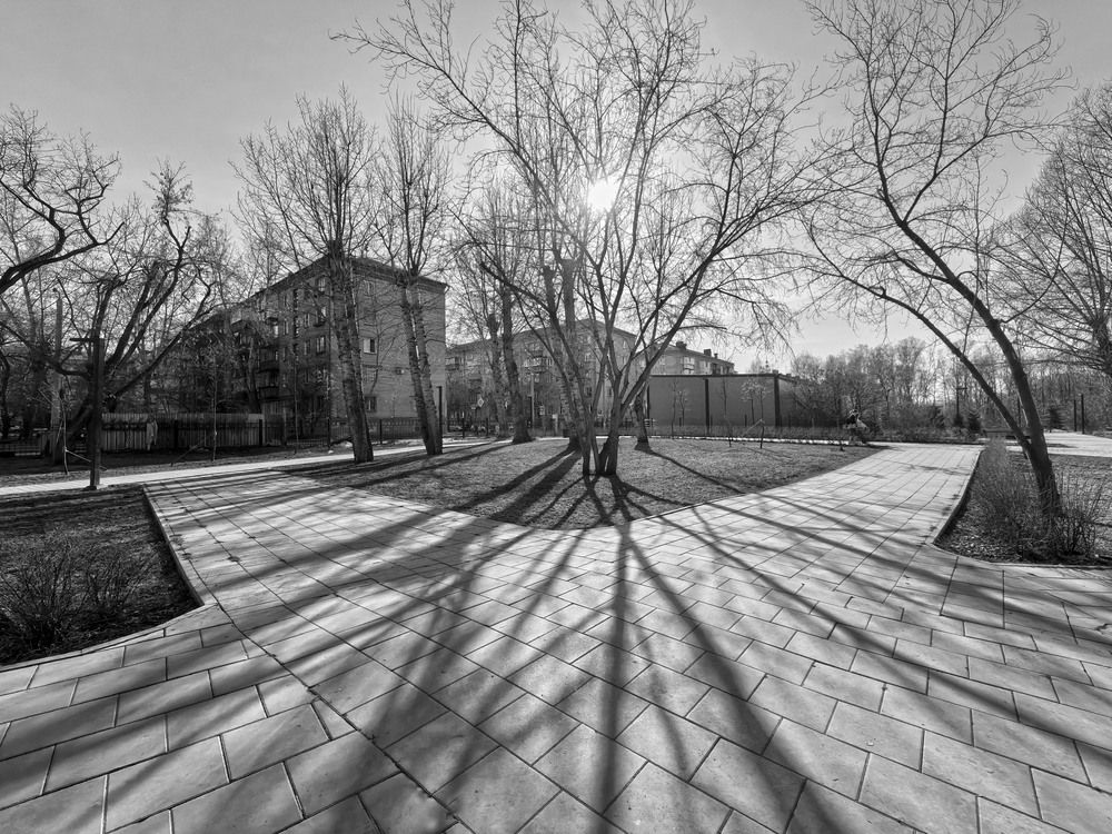 Photograph by Татьяна Мишустина