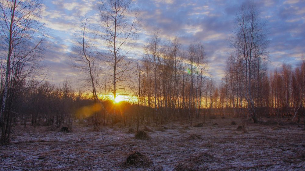 Весенний восход