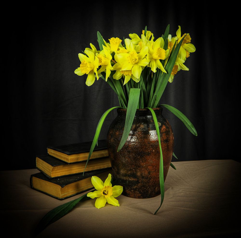 Photograph by Алексей Шевцов