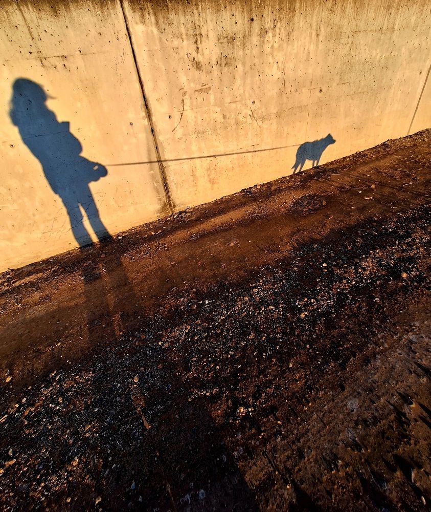 Photograph by Sonia Crotta
