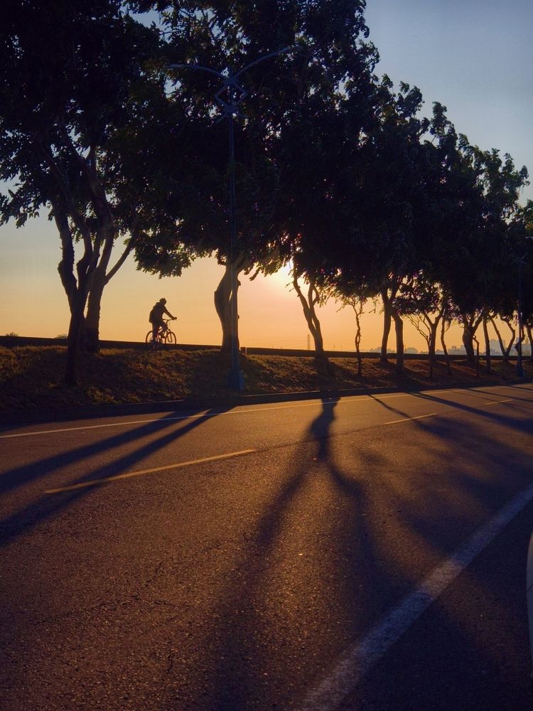 Towards the sunset
