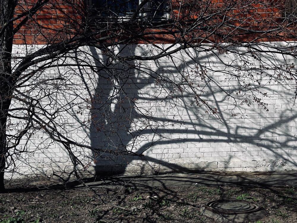 Photograph by Елена Маркова