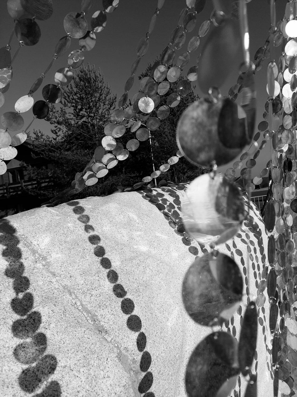Photo #13483628