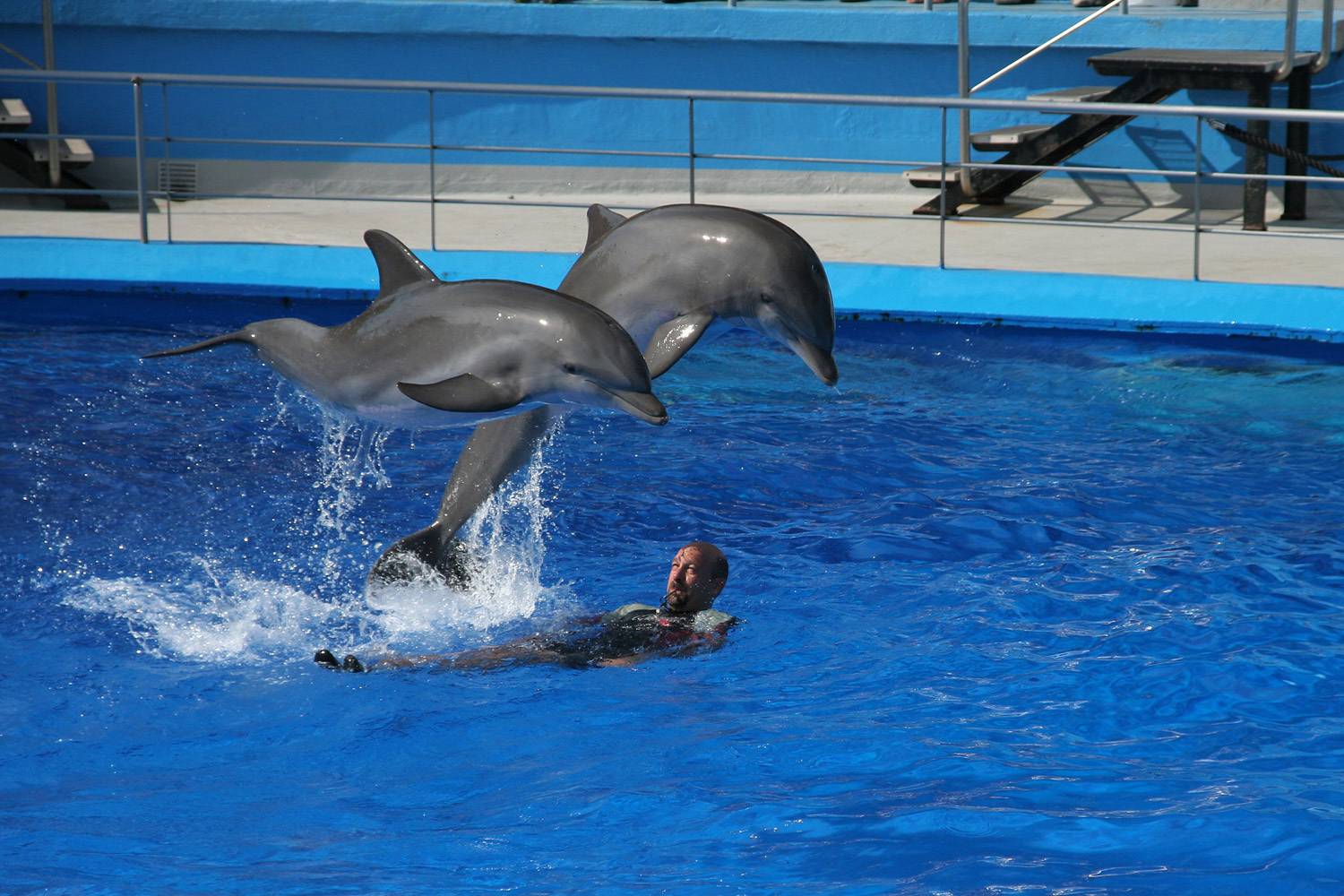 Photo #13483639