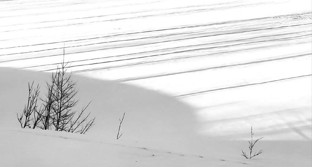 Photograph by Юлия