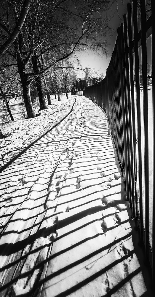 Photograph by Юлия