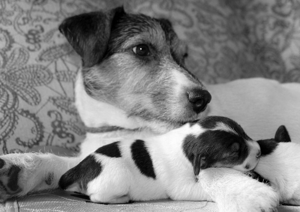 Photograph by Елена Данченко