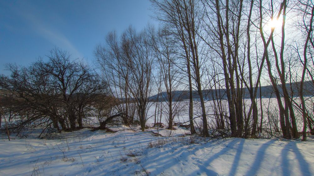 Photograph by Юлия Максимова