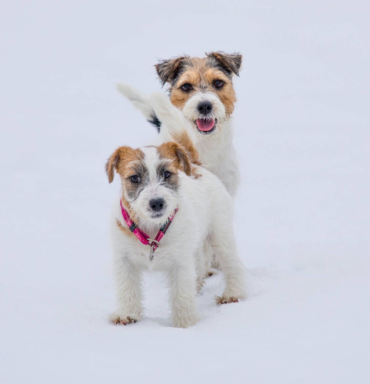 Фотография #13483690