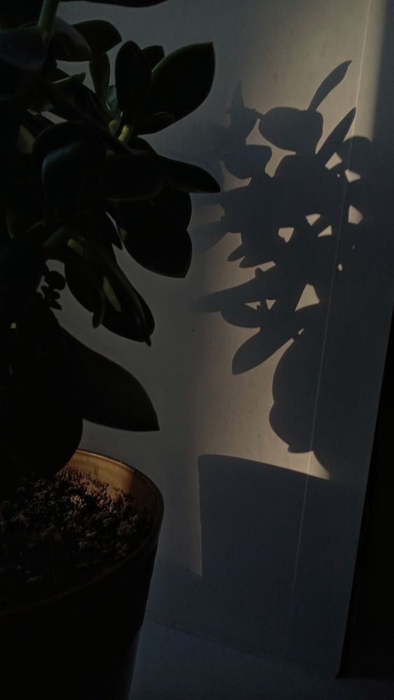 Photograph by Анастасия Псарёва