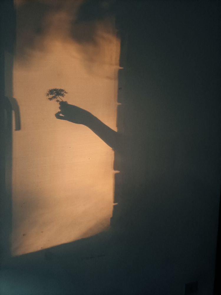 Photograph by Iryna Shyshkina
