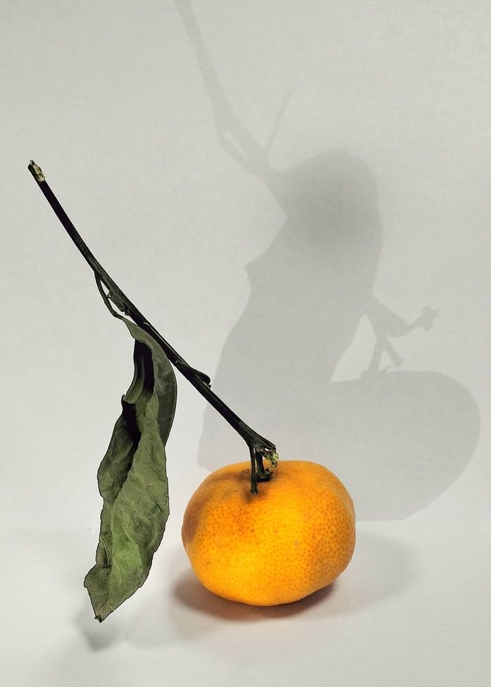 Photograph by Артем Великанов