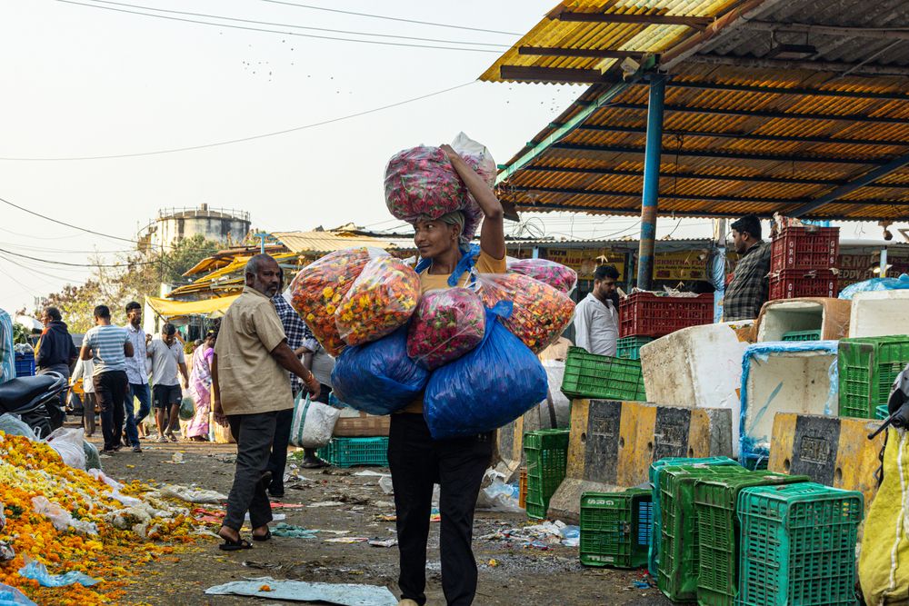 Burden of the Bazaar