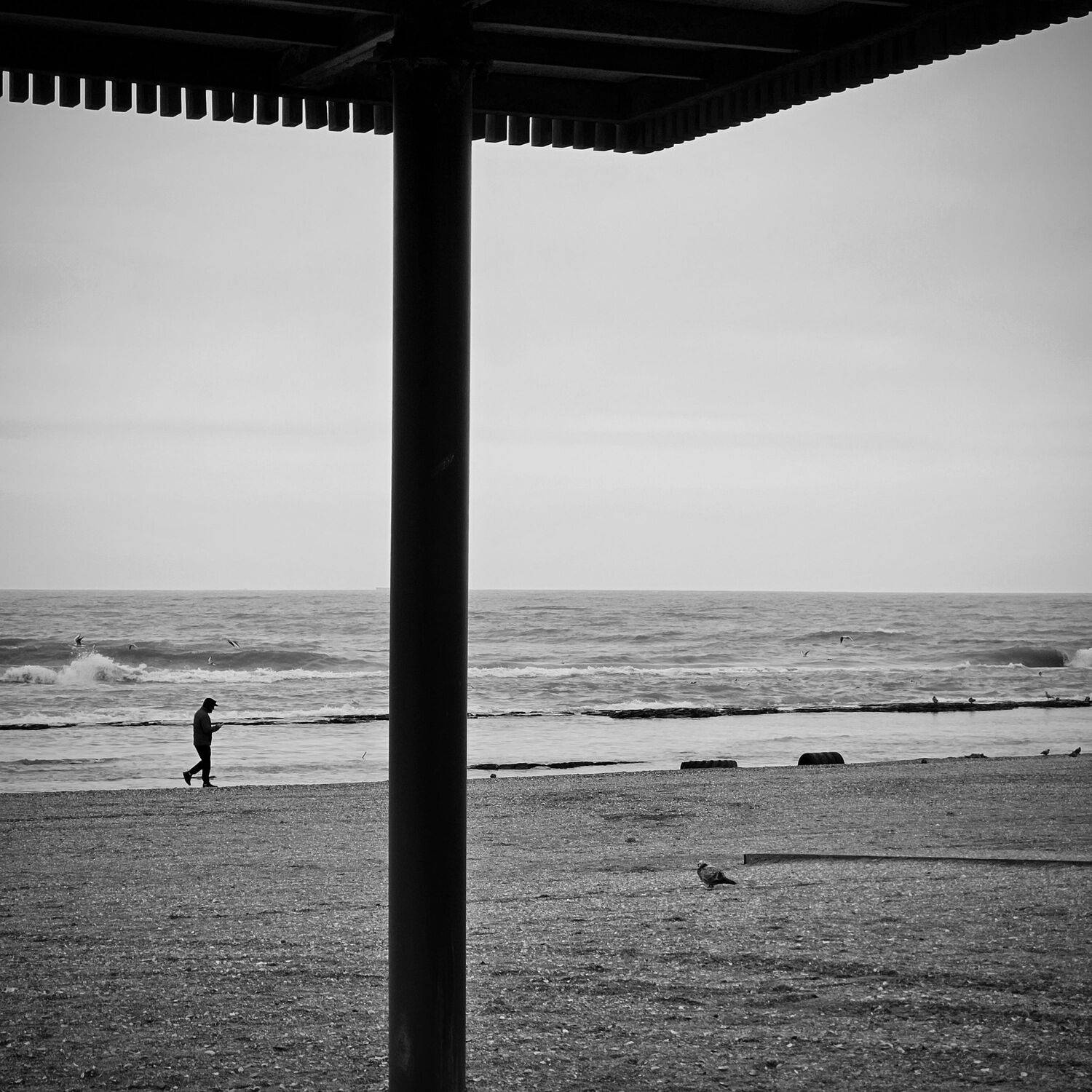 The Caspian sea coast in Makhachkala