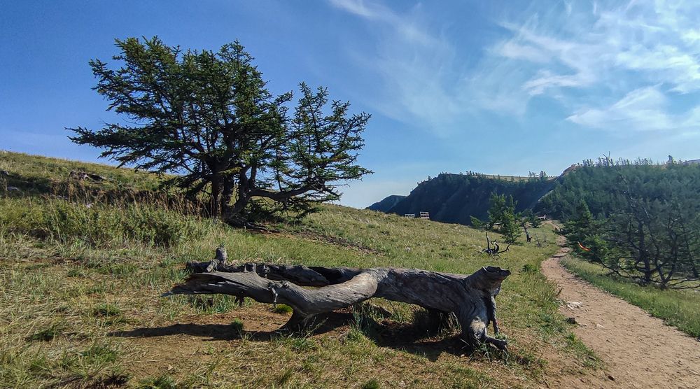 Photograph by Юлия Максимова