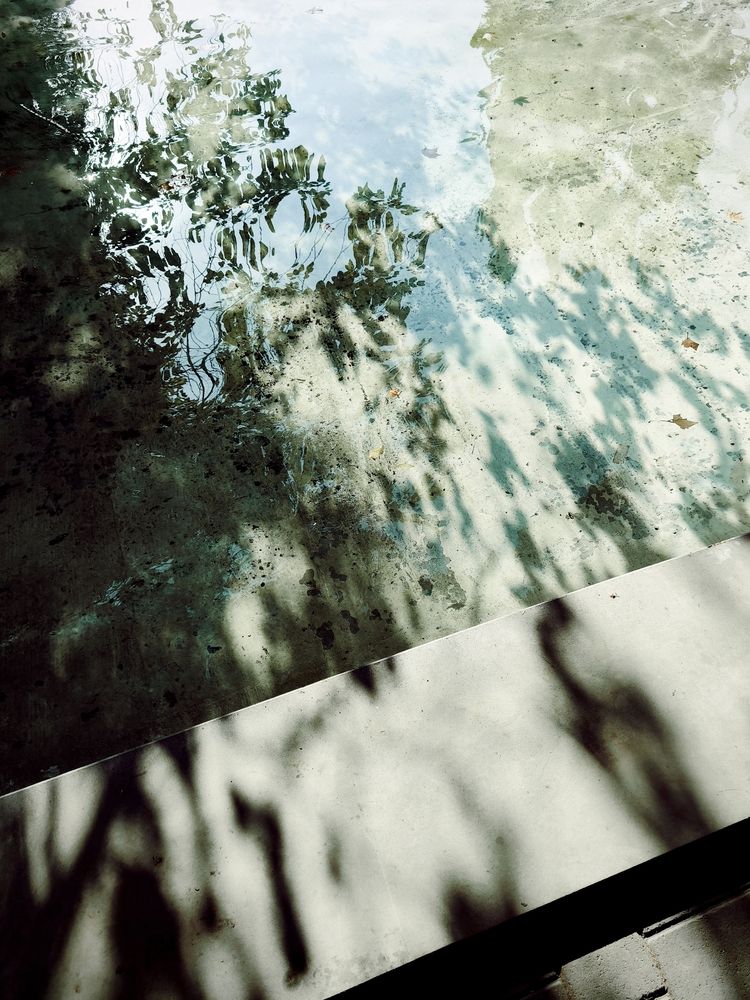 Photograph by Наталья Авсеенкова