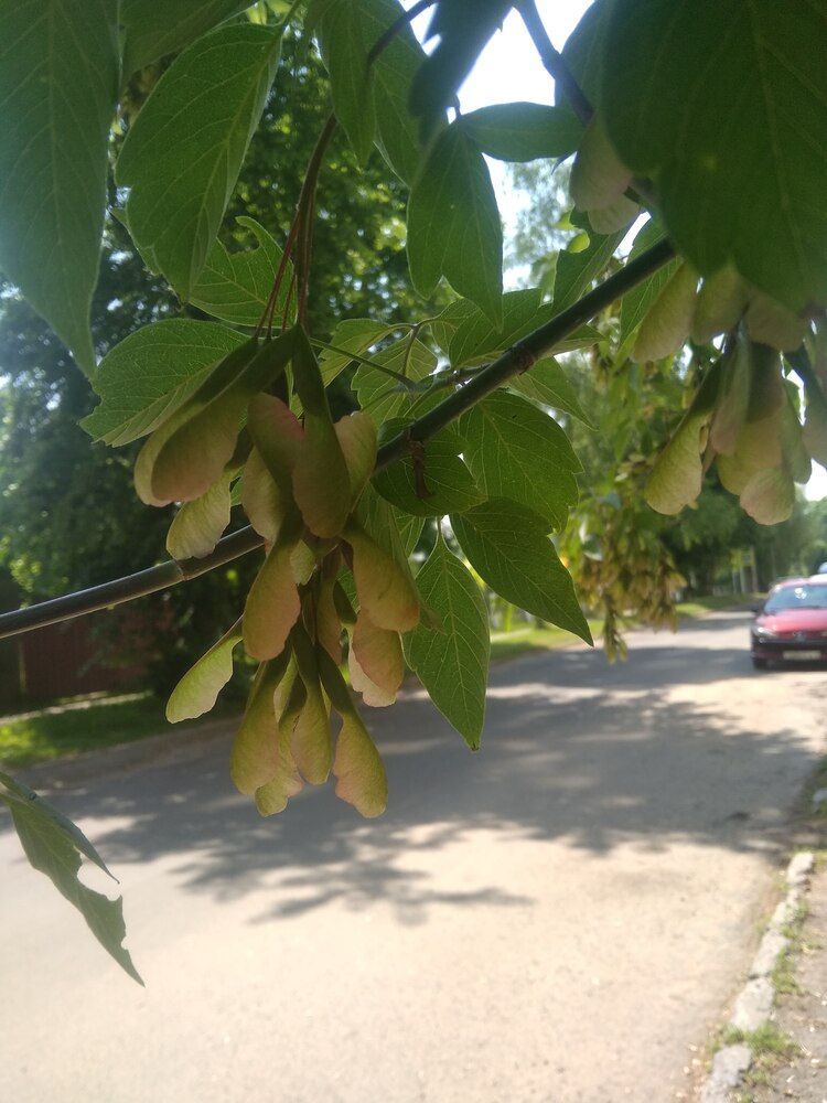 Фотография автора Людмила Кириллова