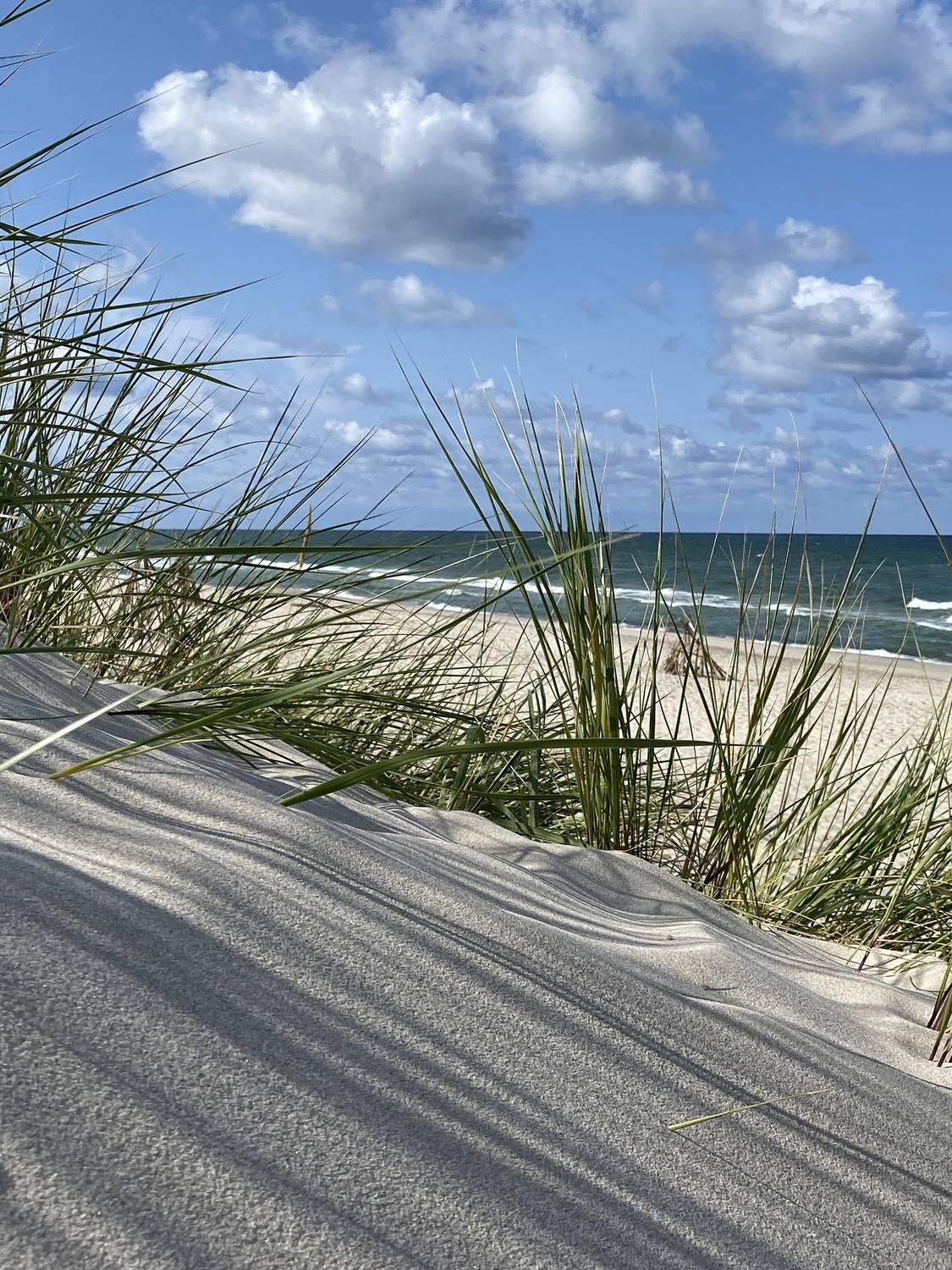 Фотография #13483999