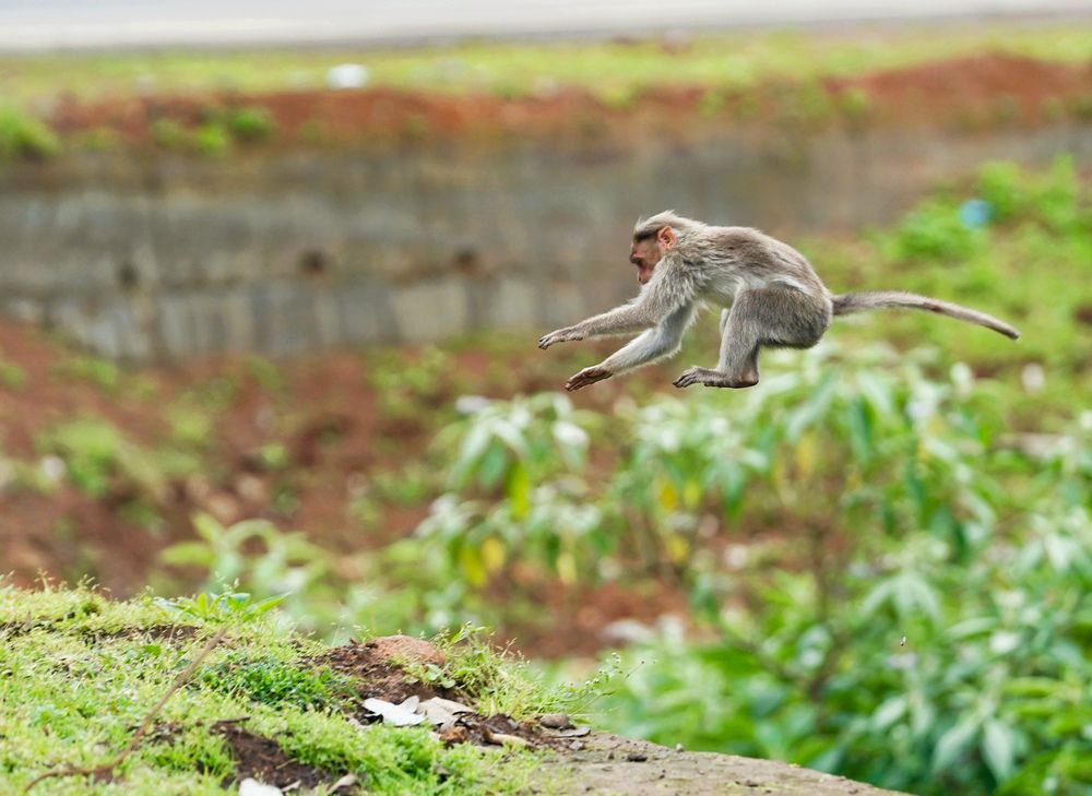 Photograph by SARAVANA MANICKAM