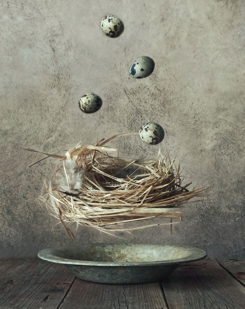 Photograph by Elena Novikova