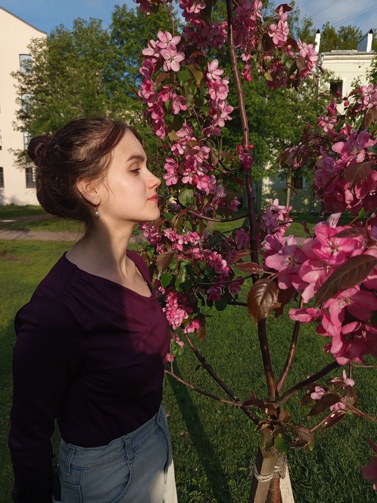 Photo #13484384
