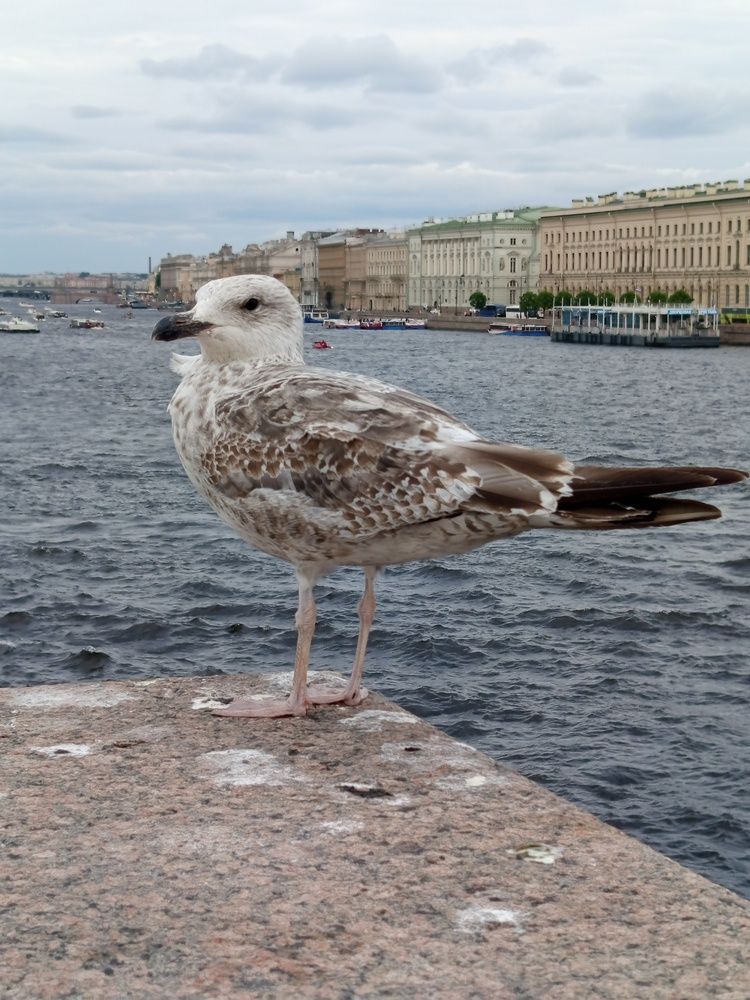 Photograph by Екатерина