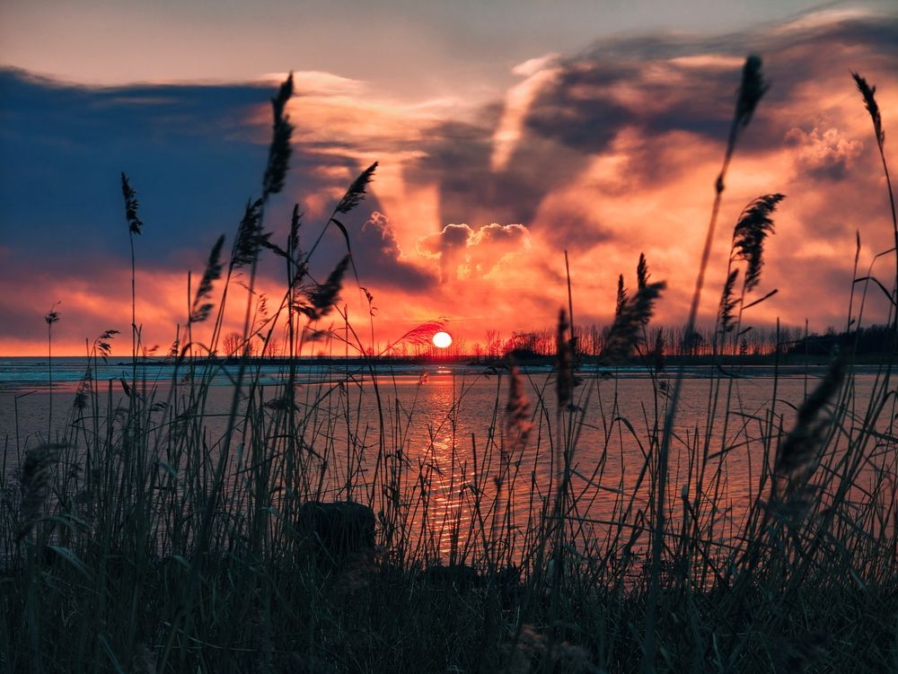 Photograph by Дарина Ворошилова