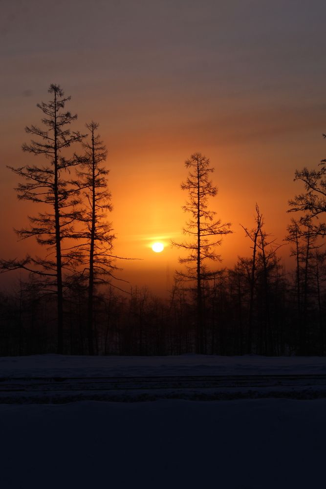 Photograph by Михаил Мархинин