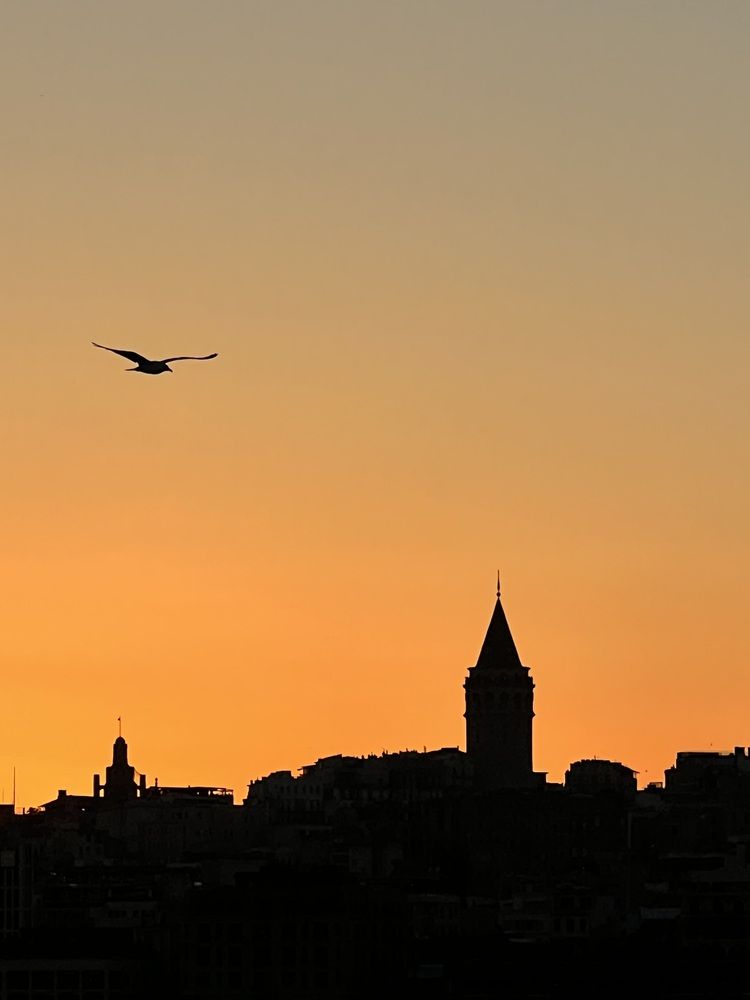 Photograph by Евгения Мягкова