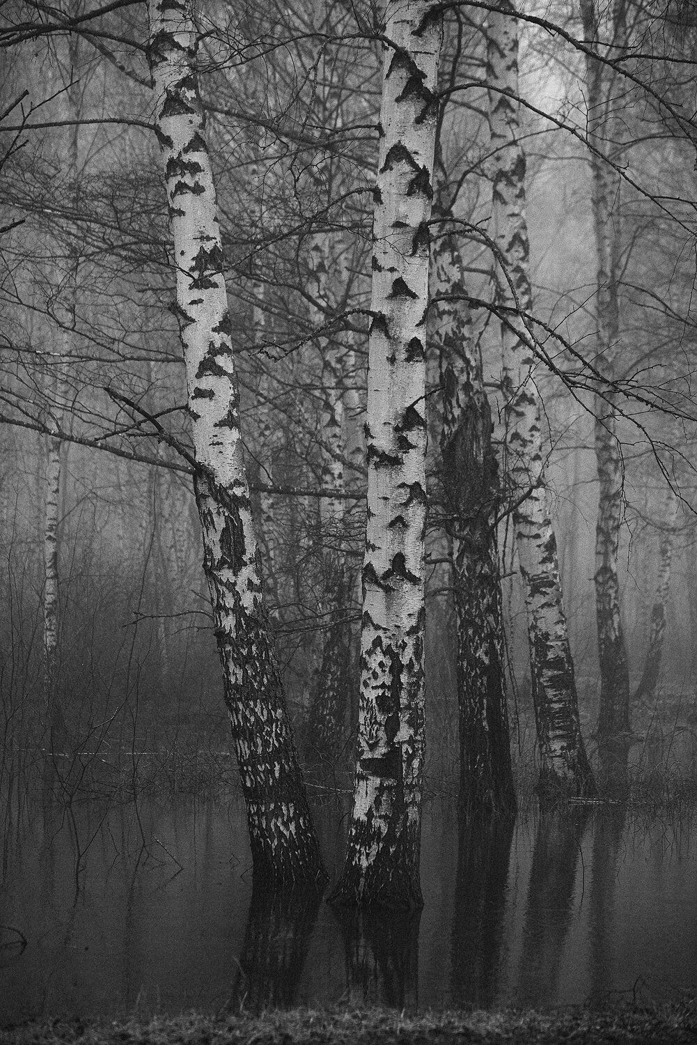 Photo #13484688