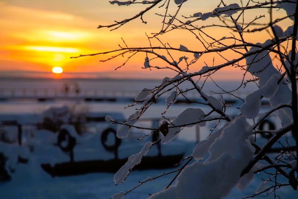 Фотография автора Светлана Парамонова