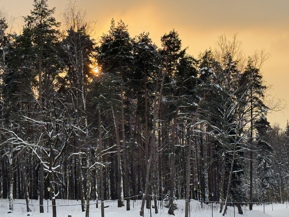 Фотография автора Светлана Парамонова