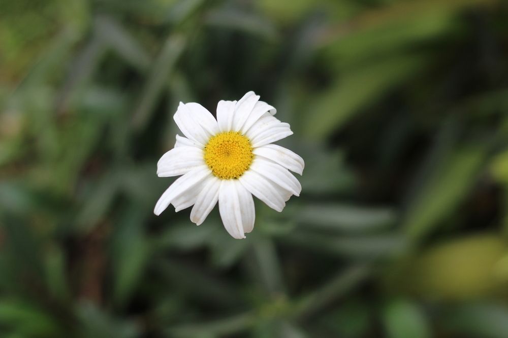 Photograph by Niniola Takuro
