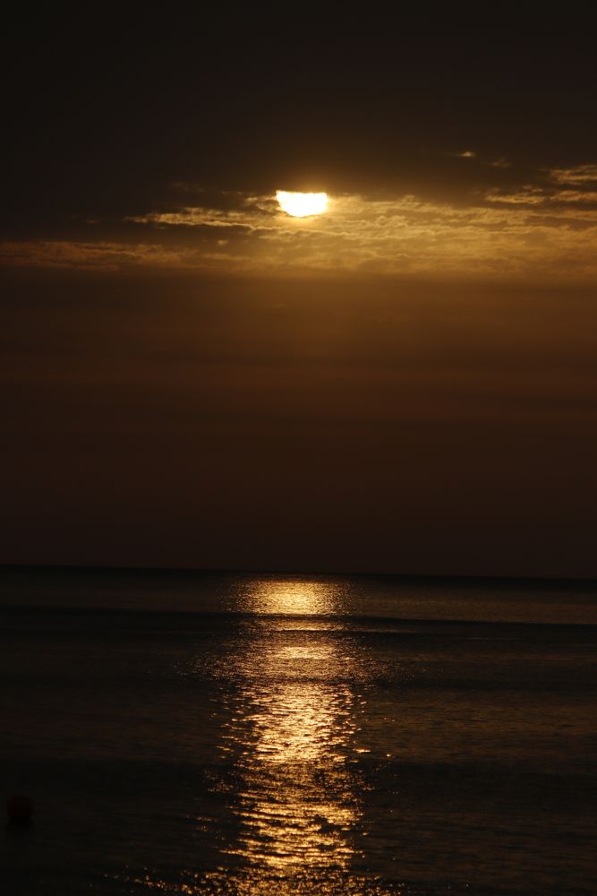 Photograph by Екатерина Александровна