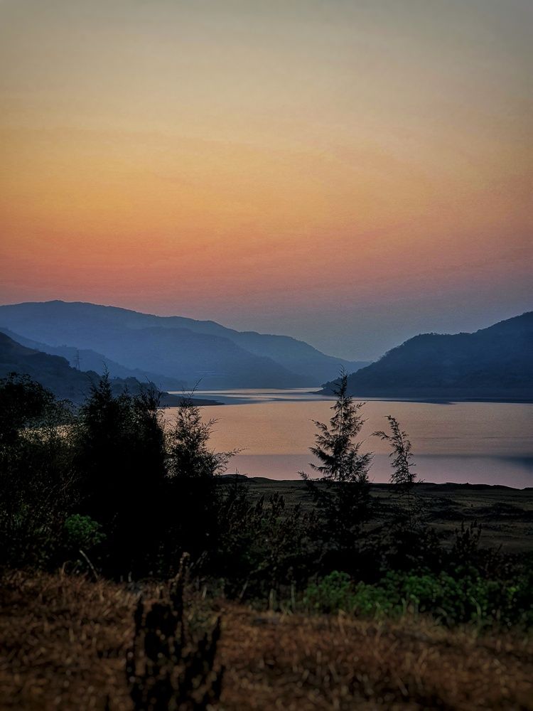 Golden Silence at the Lakeside