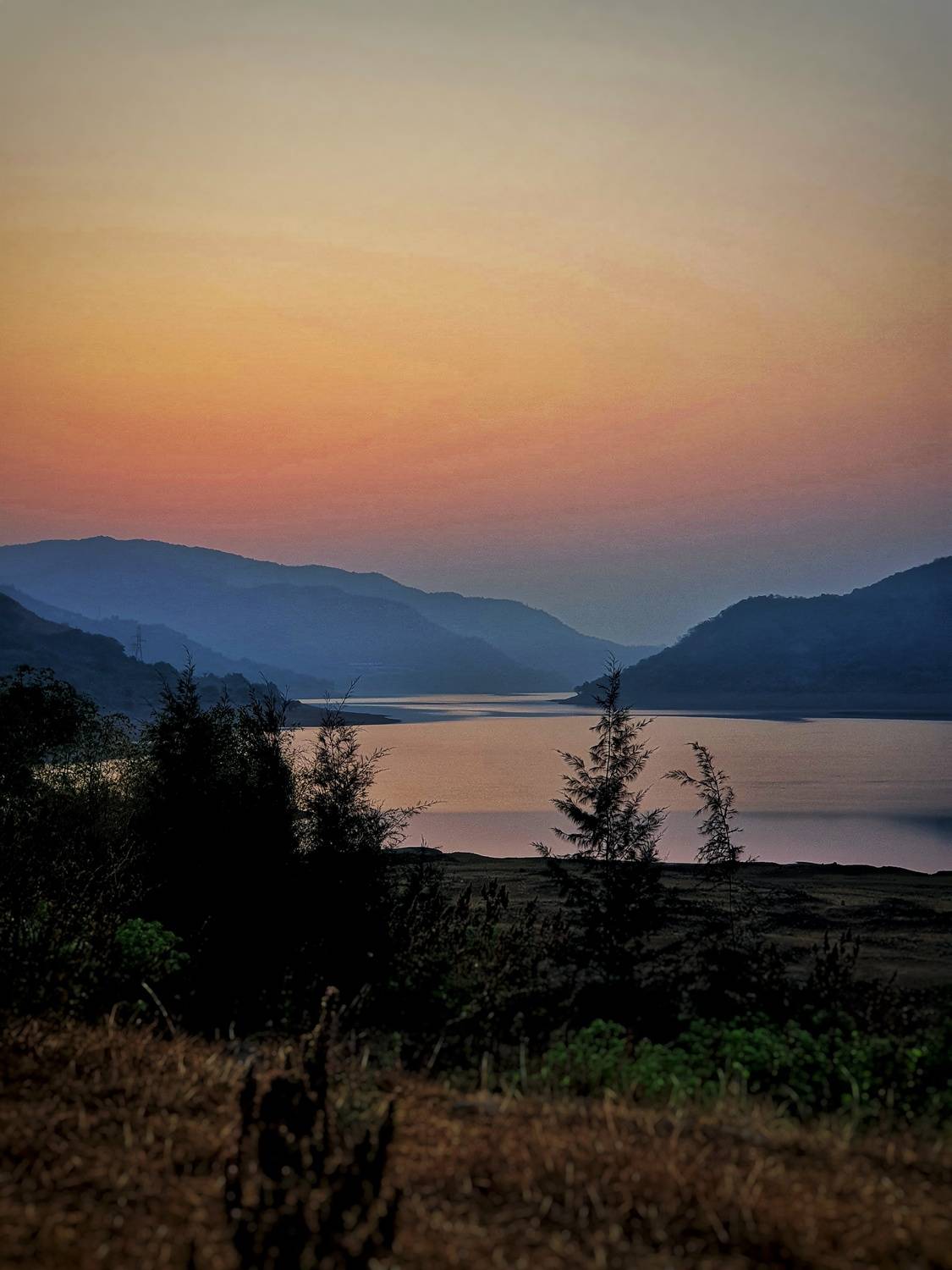 Golden Silence at the Lakeside