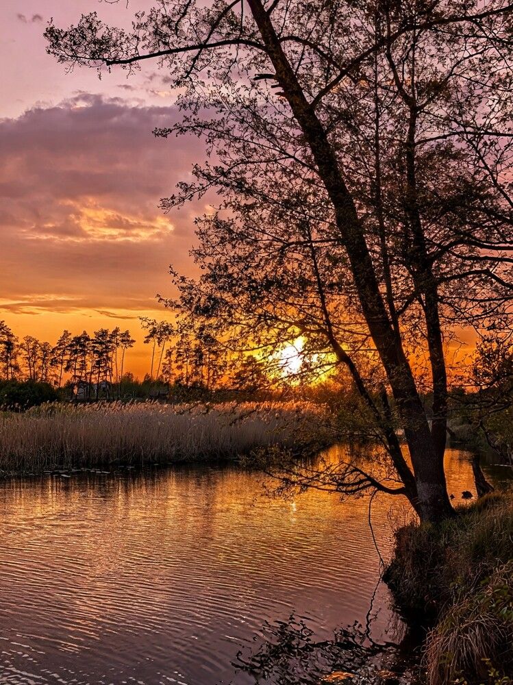 Photograph by Любовь Колмакова