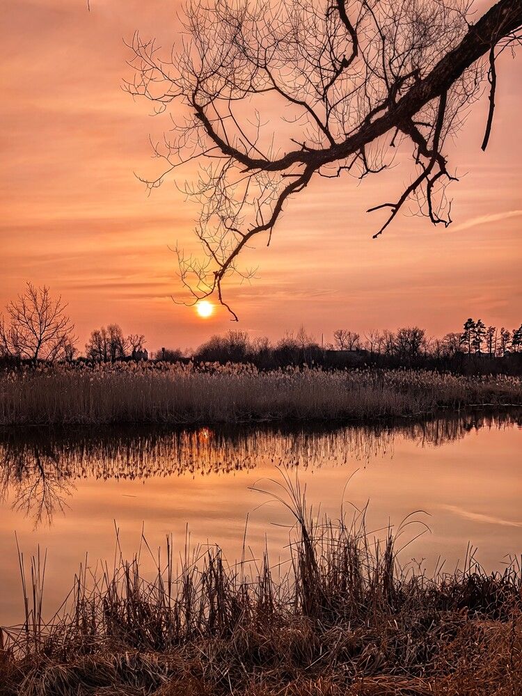 Photograph by Любовь Колмакова