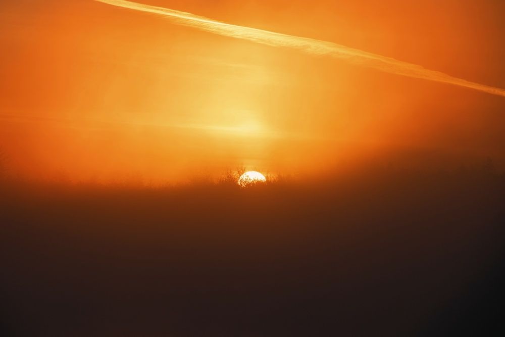 Photograph by Анна Любимова
