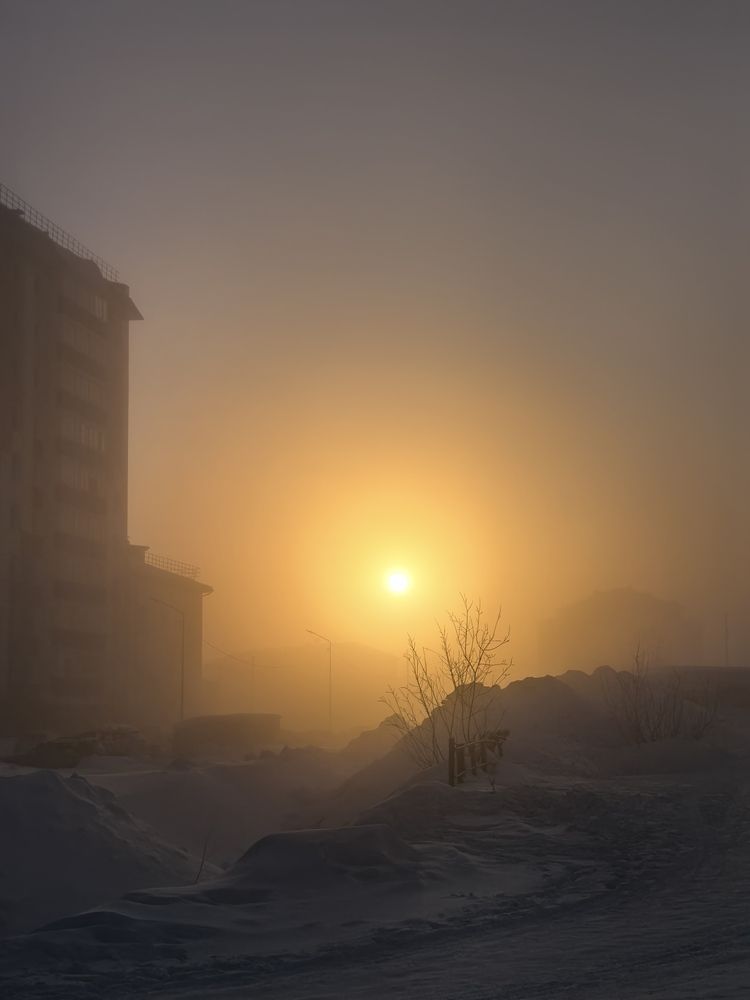 Photograph by Елена Шляхова