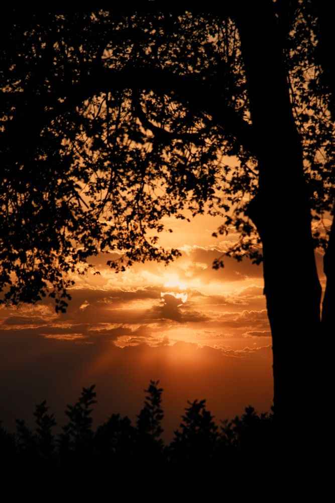 Photograph by Анна Любимова
