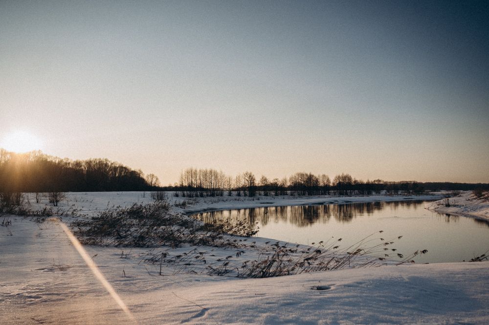 Photo #13485139