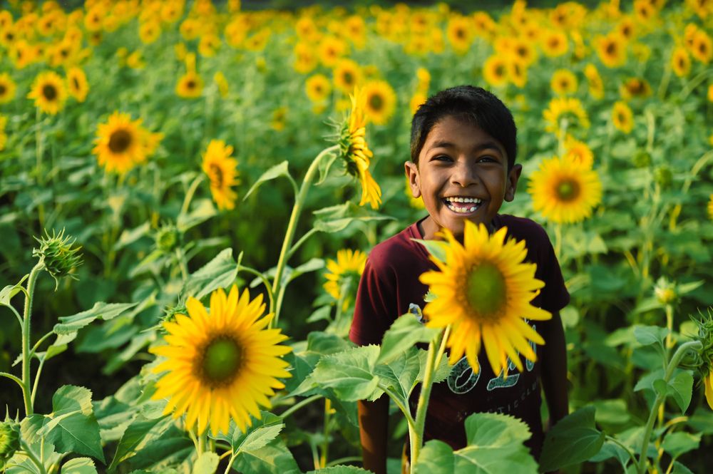 Photograph by Sankhasis Das