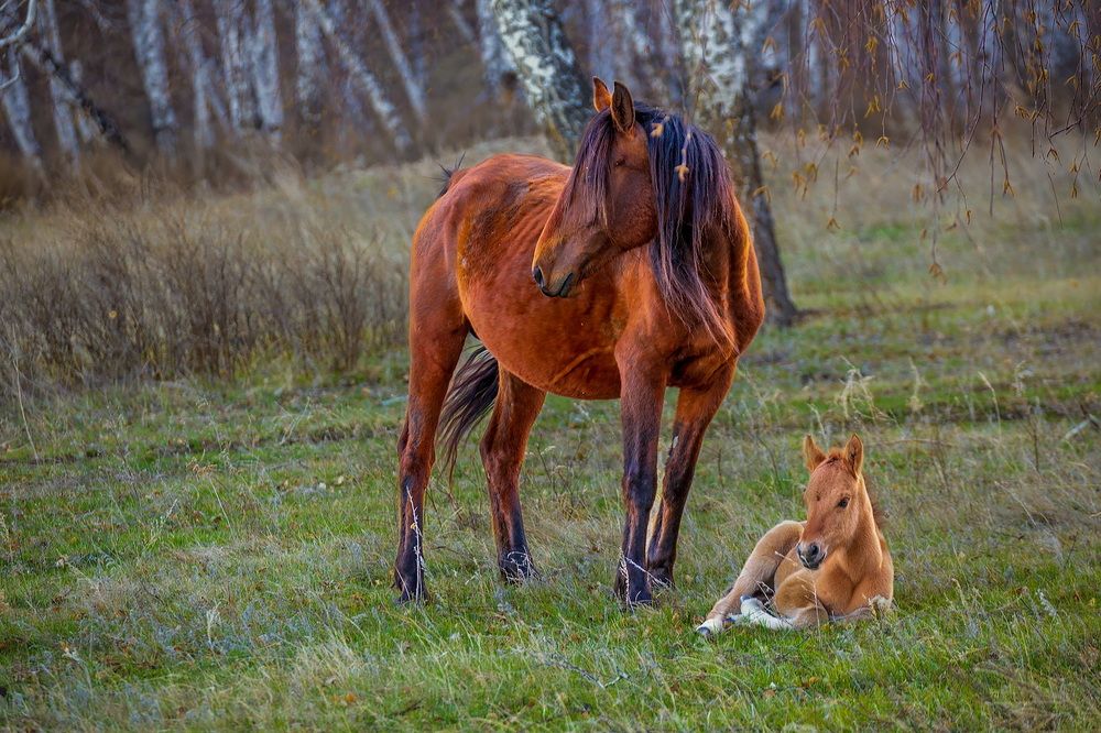 Photograph by Владимир Акиньшин