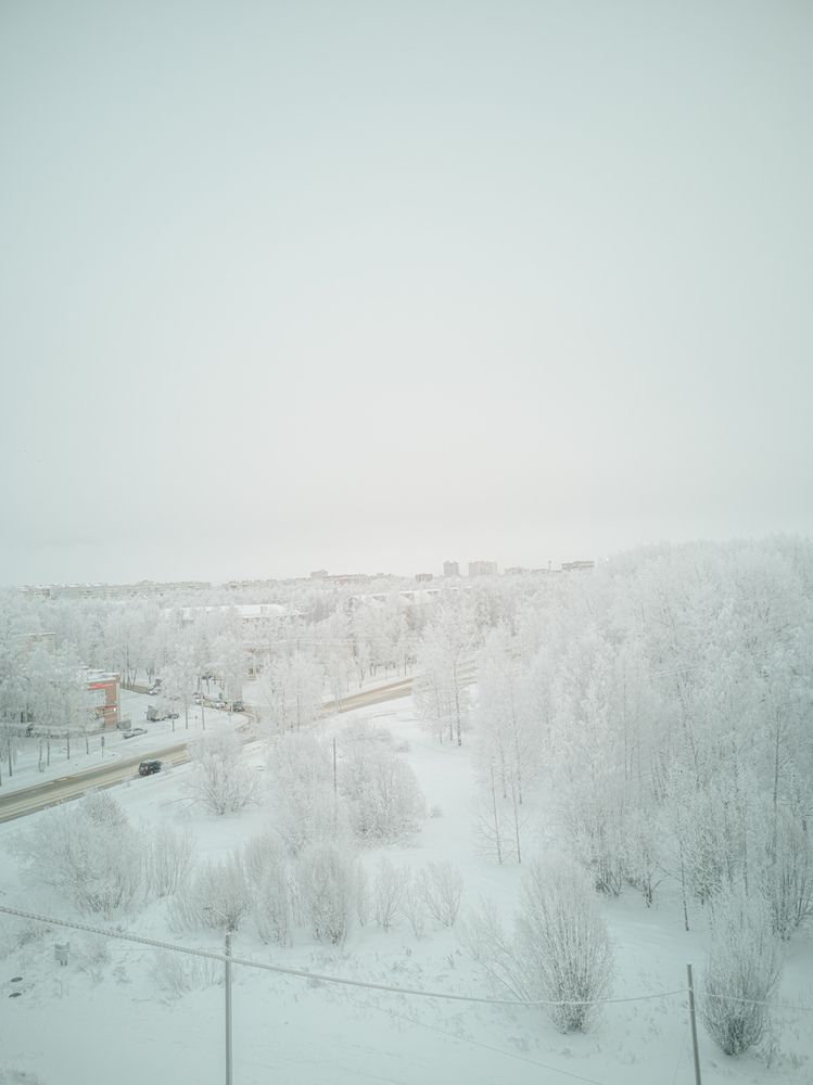 Зимняя сказка