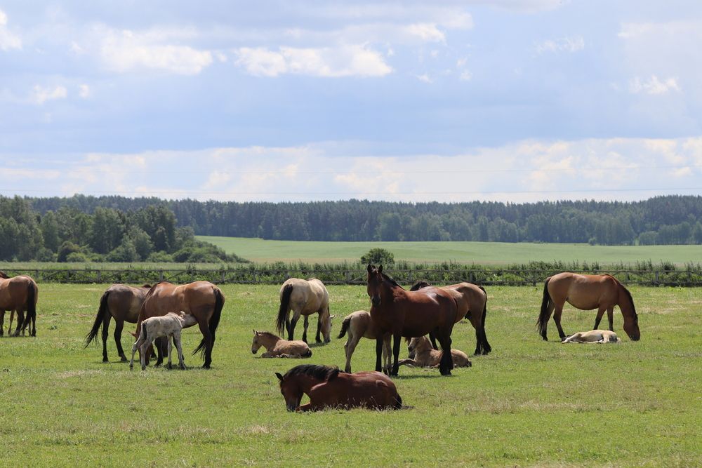 Photograph by Евгения Нестеренко